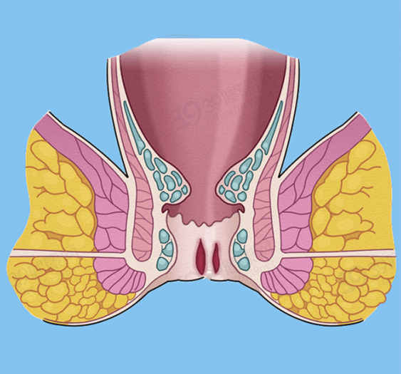 麻醉下检查肛门直肠